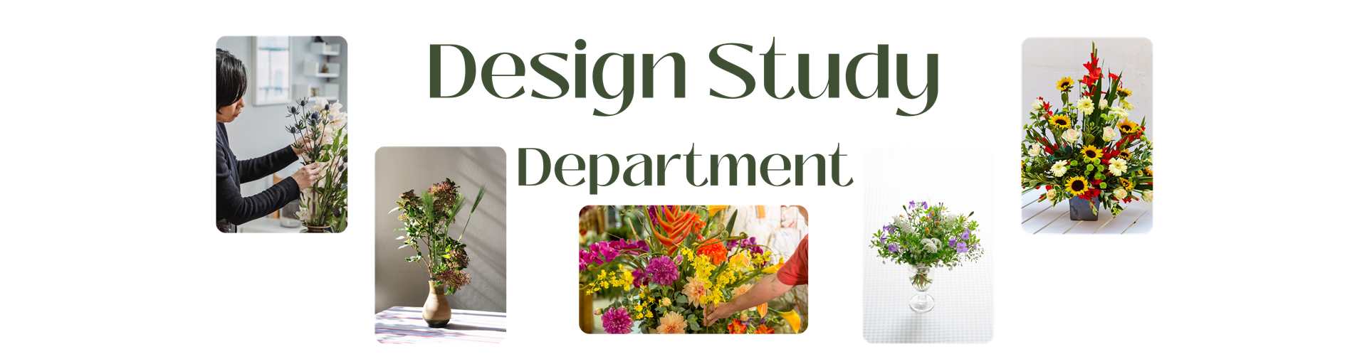Design Study Department